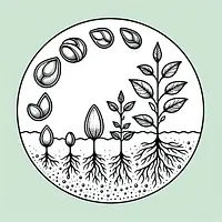 A black and white coloring page of  simple, A plant growing from a seed.