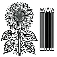 A black and white coloring page of  simple, Tall sunflower.