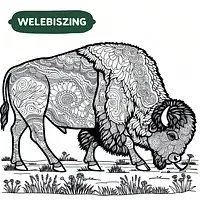 A black and white coloring page of  simple, a buffalo bills .
